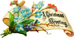 christmas-flowers