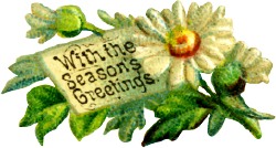 daisy greetings