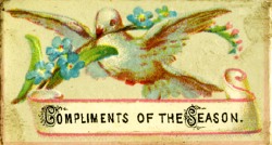dove