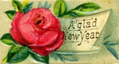 rose-newyr