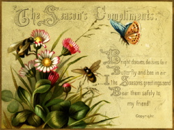seasons-compliments-bees